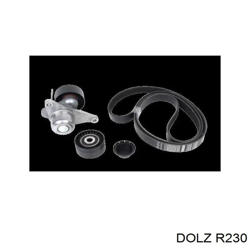 Помпа R230 Dolz