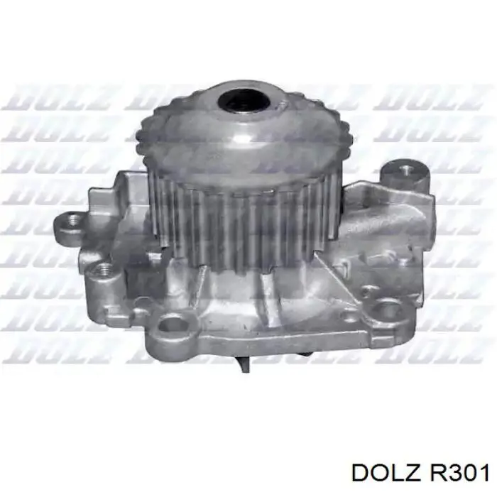 Помпа R301 Dolz