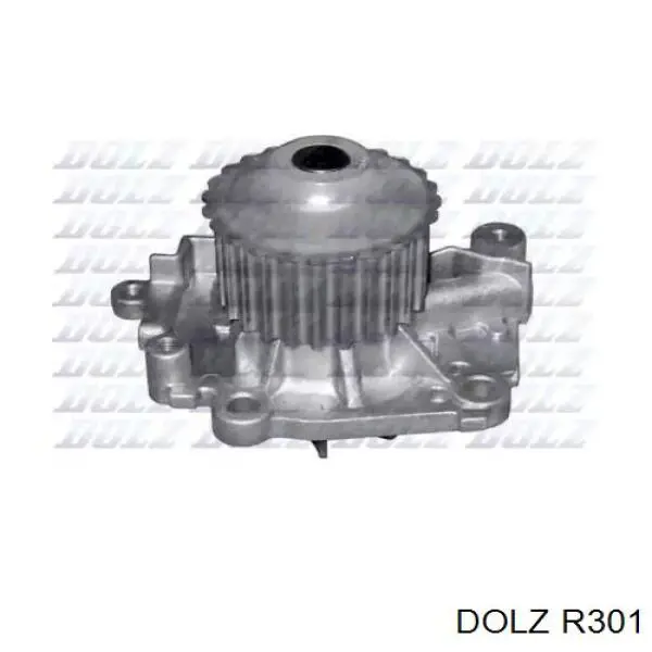 Помпа R301 Dolz