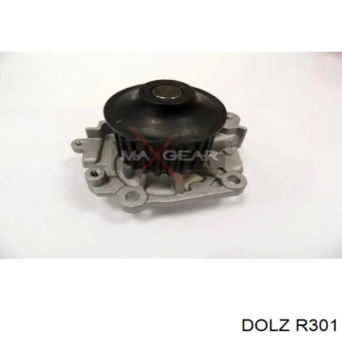 R301 Dolz Насос водяной
