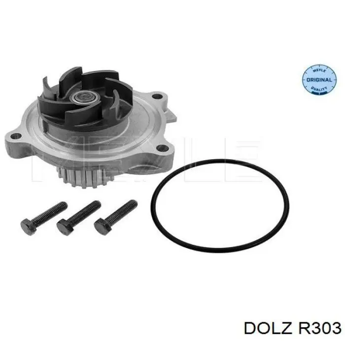 R303 Dolz Насос водяной