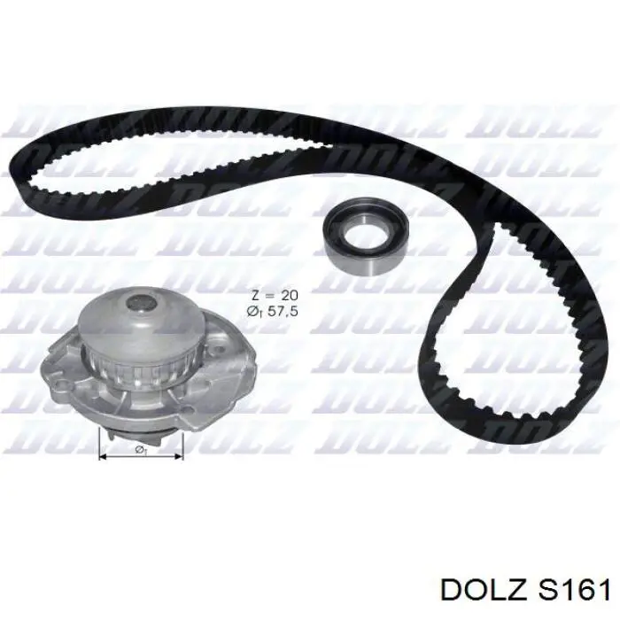 S161 Dolz