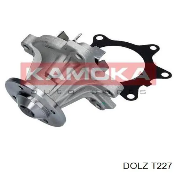 T227 Dolz Насос водяной