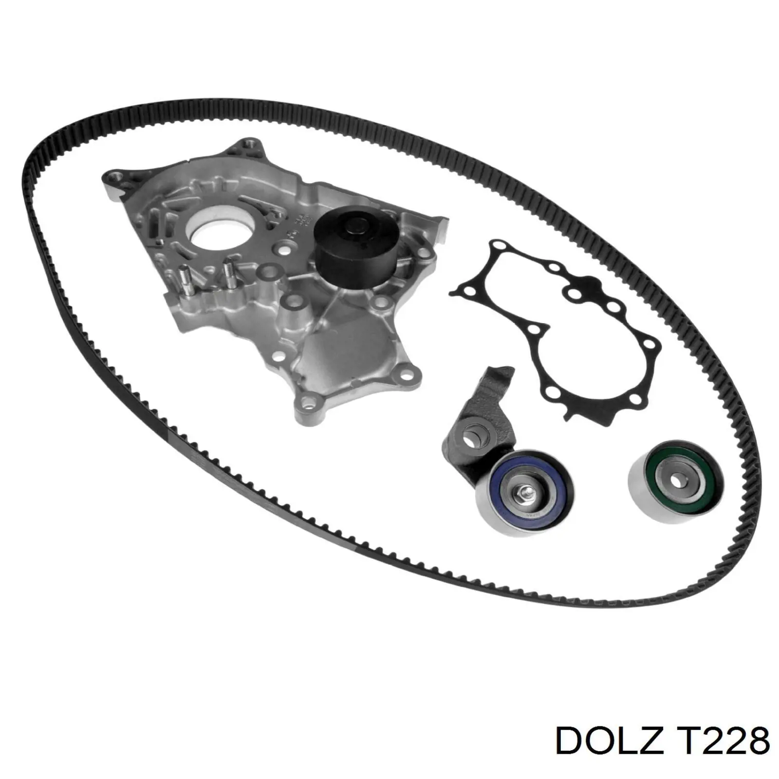 T228 Dolz