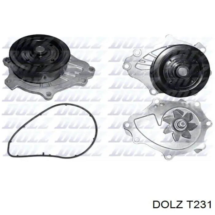 T231 Dolz