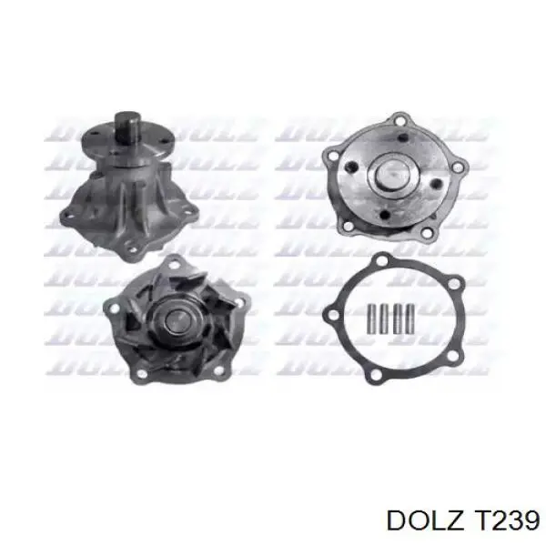  T239 Dolz