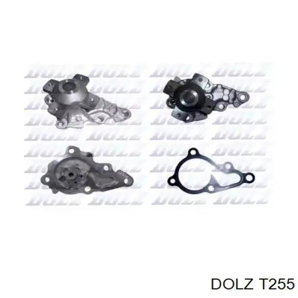 T255 Dolz Насос водяной