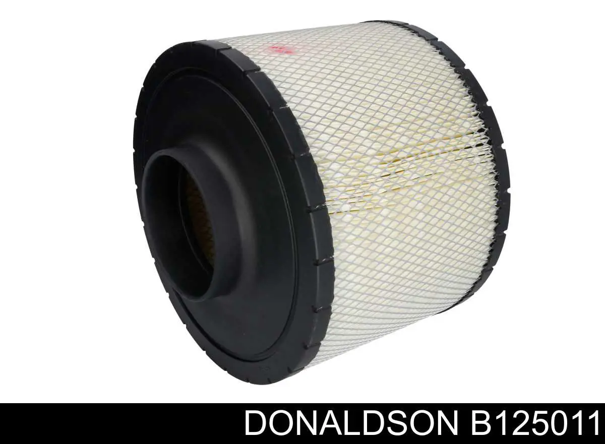  B125011 Donaldson