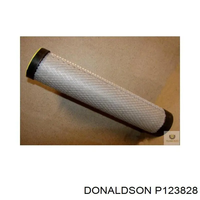  P123828 Donaldson
