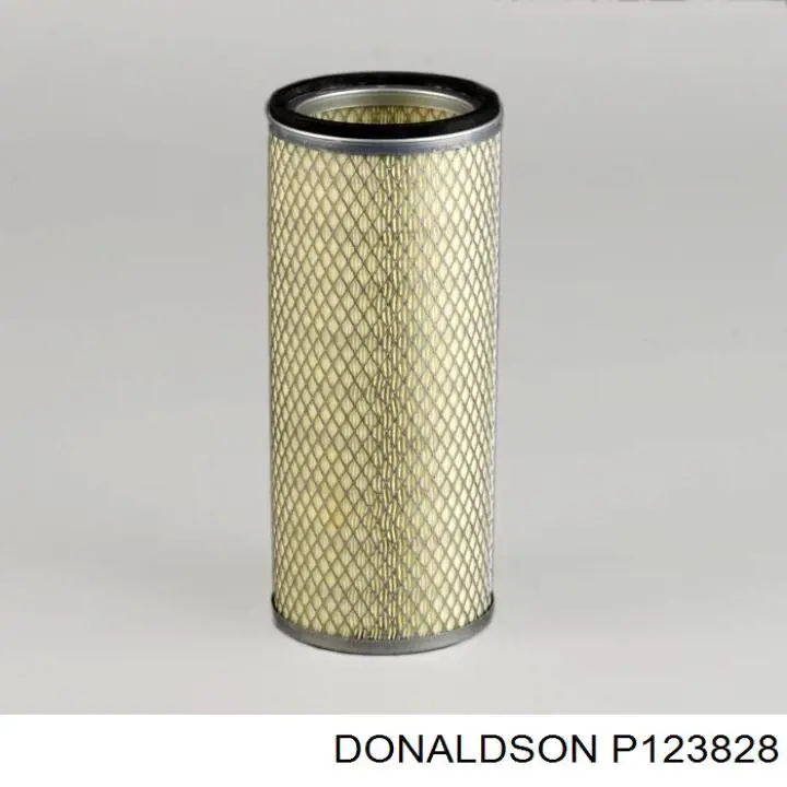 P123828 Donaldson 