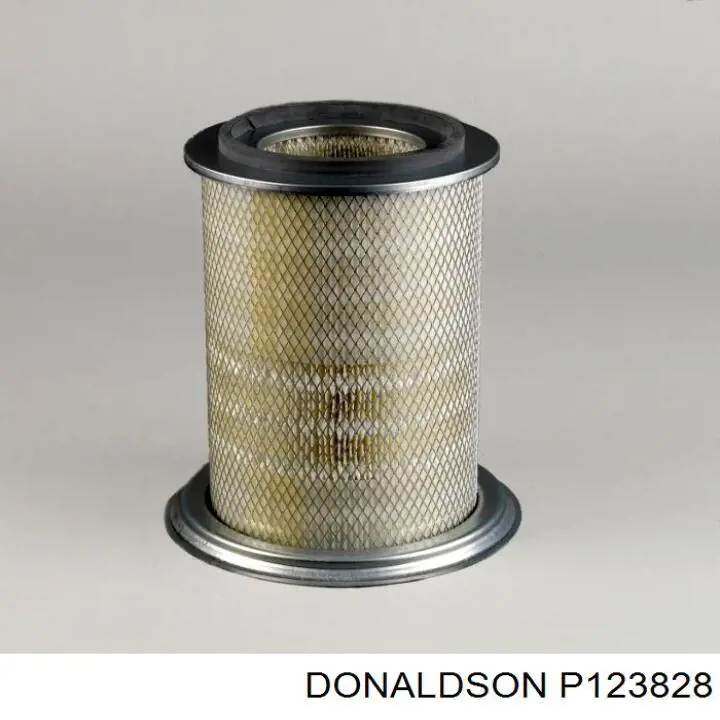  Donaldson P123828 цена, от 58.31 USD