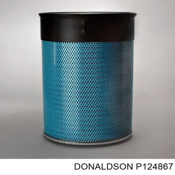 Купить P124867 Donaldson Автомобильный фильтр воздуха