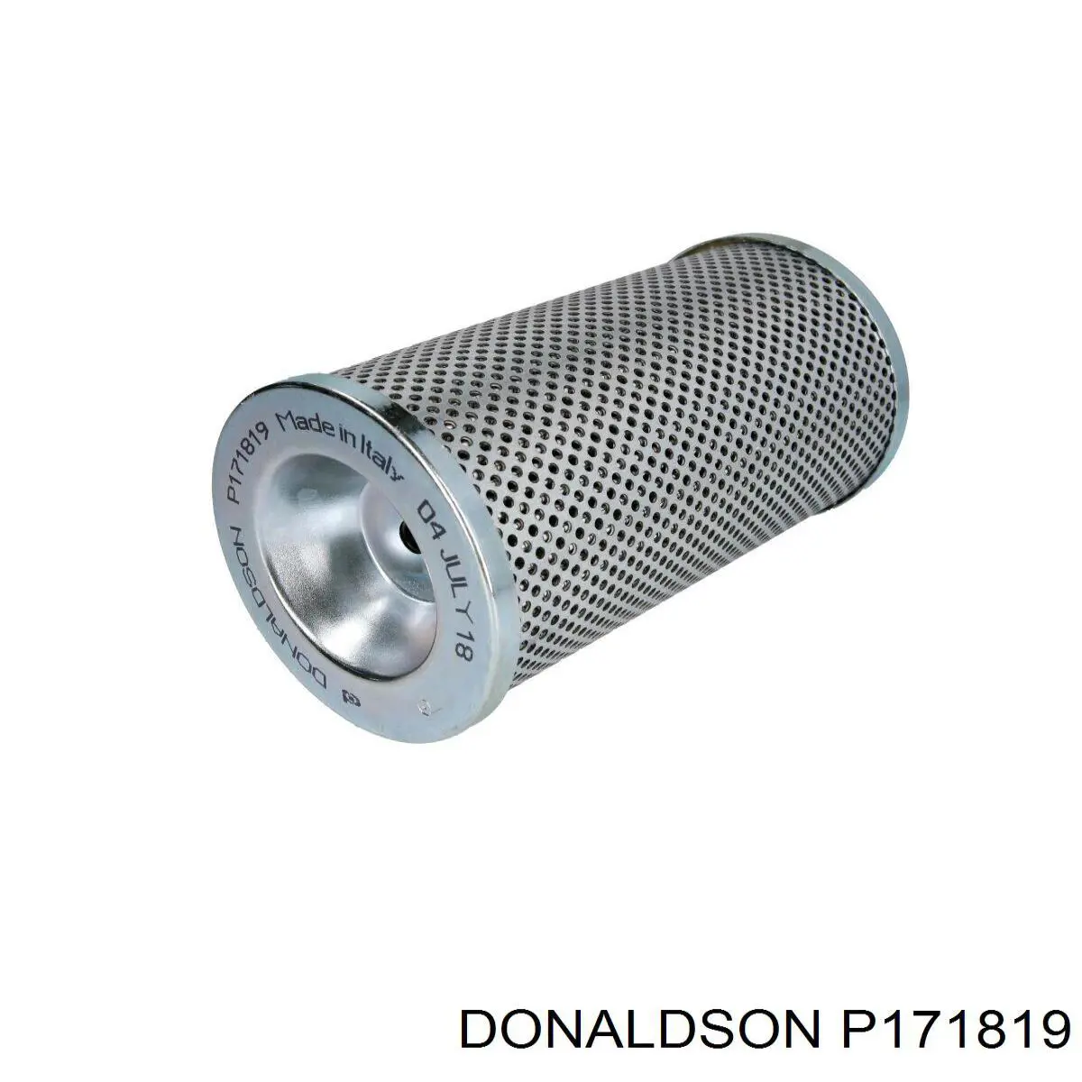 P171819 Donaldson 