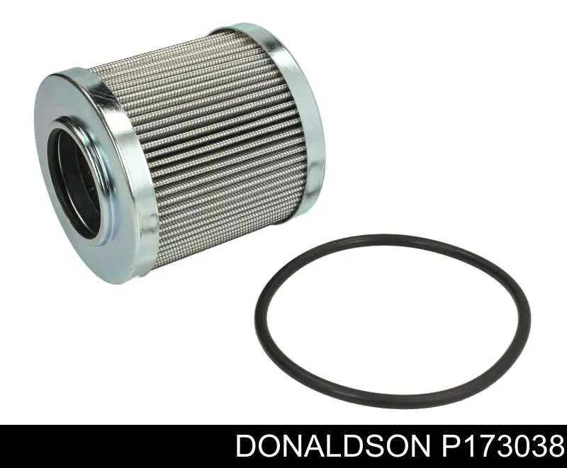P173038 Donaldson 