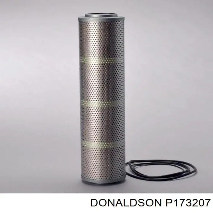 P173207 Donaldson 