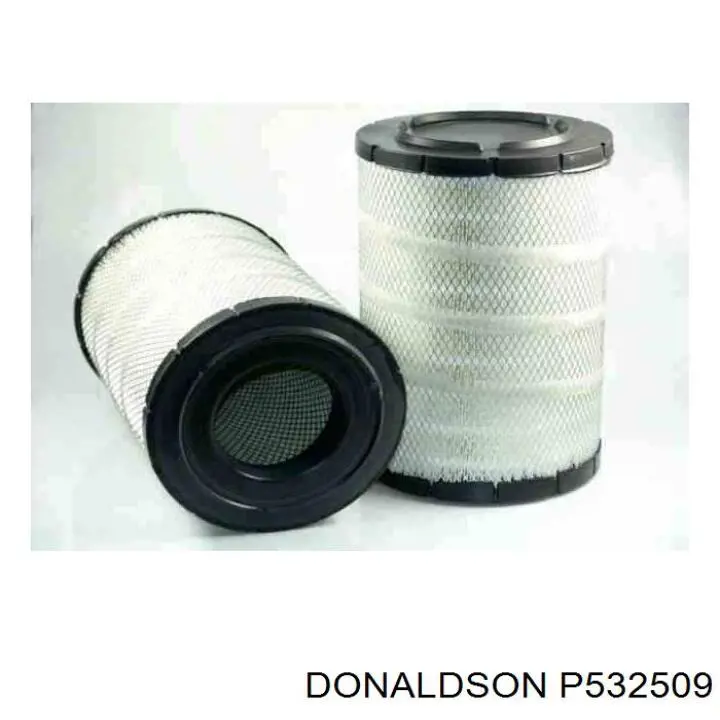 Элемент воздушного фильтра Donaldson P532509 цена, от 113.22 USD