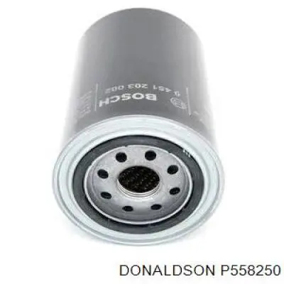 P558250 Donaldson filtro de óleo