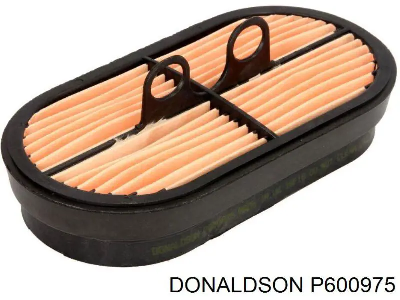 P600975 Donaldson Воздушный фильтр двигателя