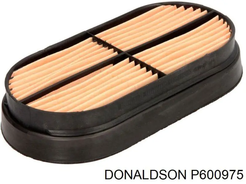 Купить P600975 Donaldson Автомобильный фильтр воздуха