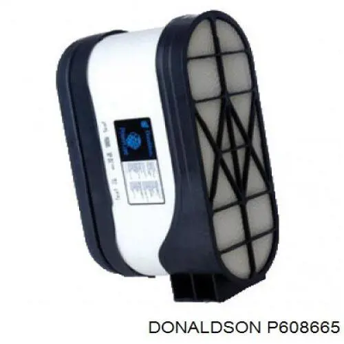 Купить P608665 Donaldson Автомобильный фильтр воздуха