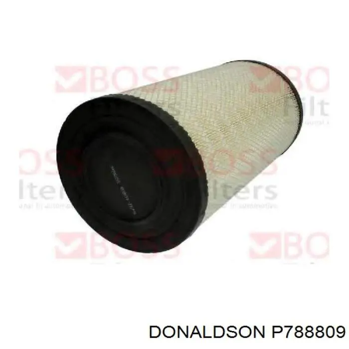 P788809 Donaldson filtro de ar
