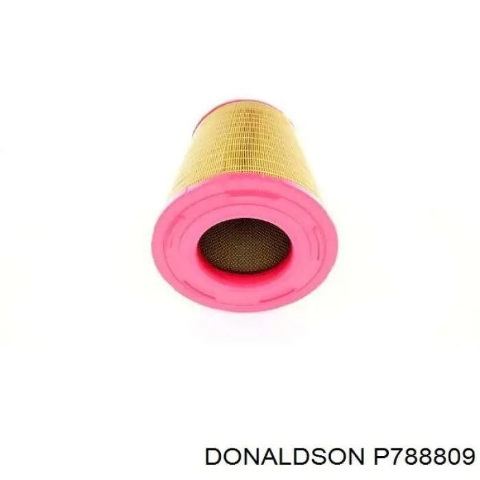 Элемент воздушного фильтра Donaldson P788809 цена, от 53.93 USD