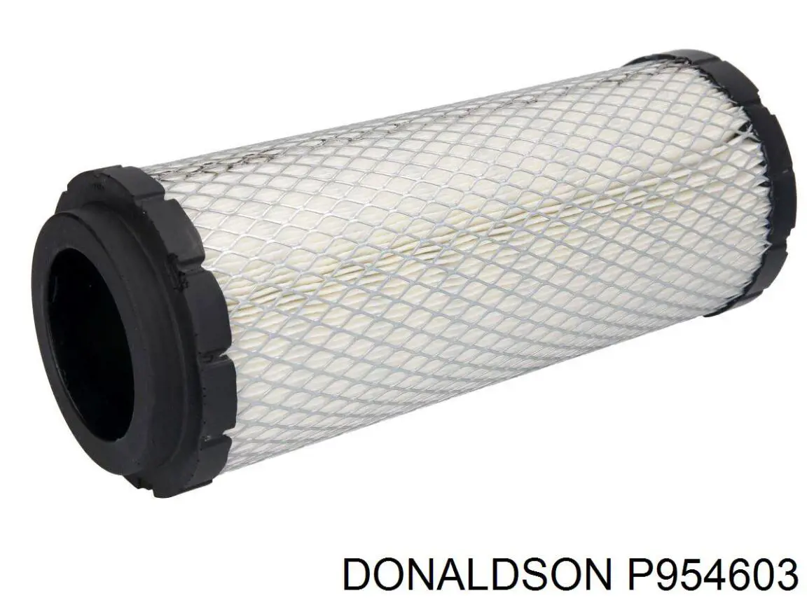 P954603 Donaldson 