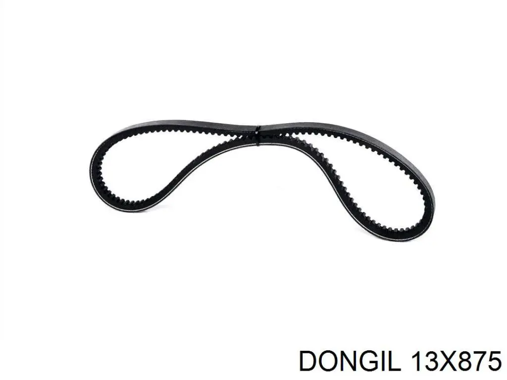 13X875 Dongil