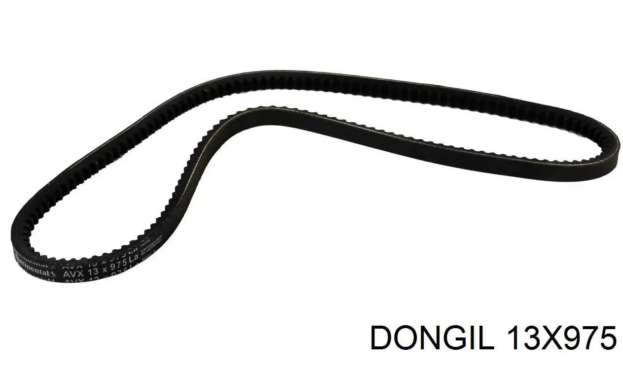 13X975 Dongil