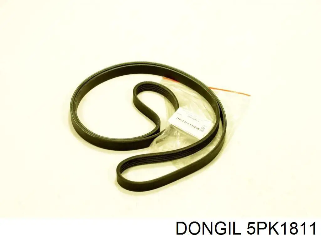 5PK1811 Dongil correia dos conjuntos de transmissão
