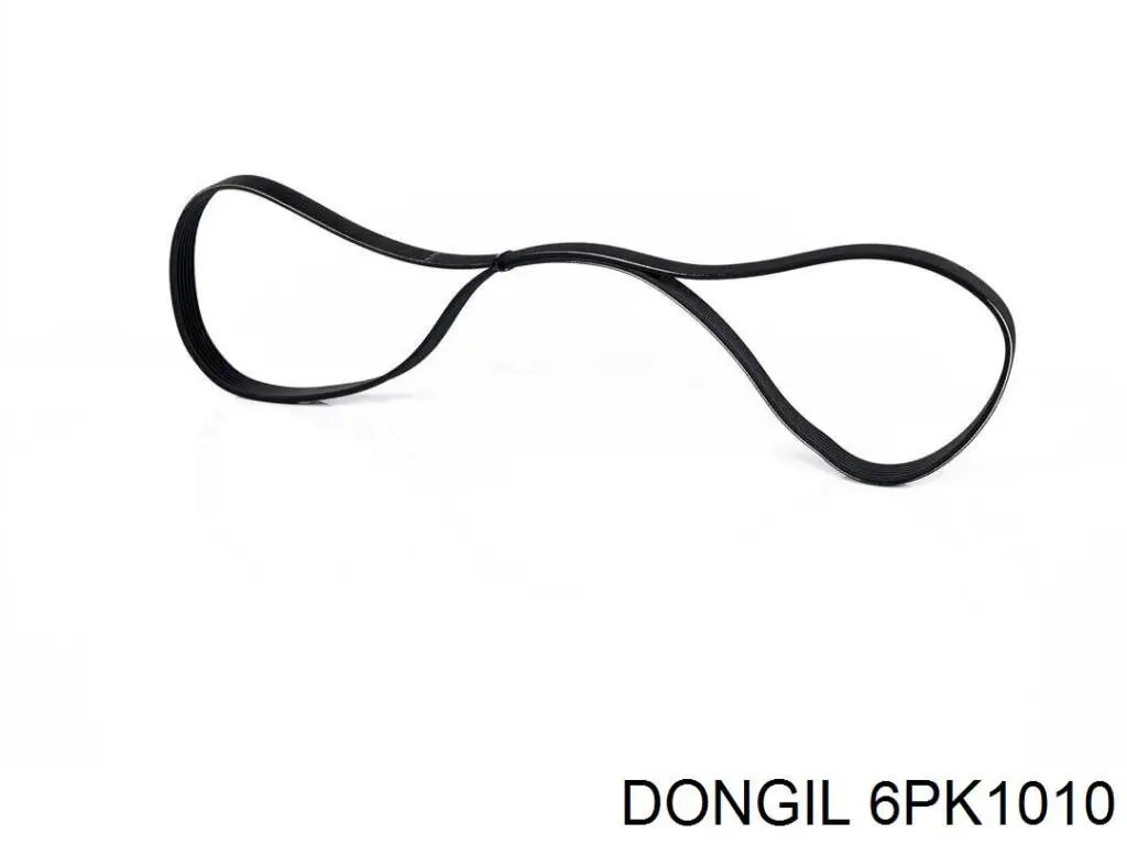 6PK1010 Dongil