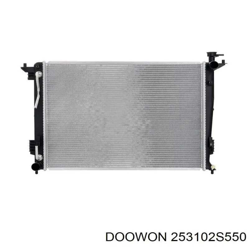 253102S550 Doowon радиатор