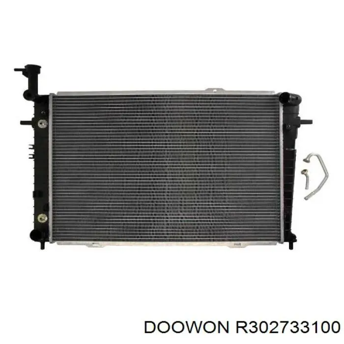 R302733100 Doowon