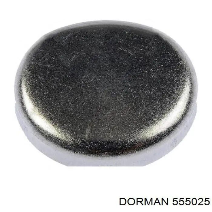 555025 Dorman 