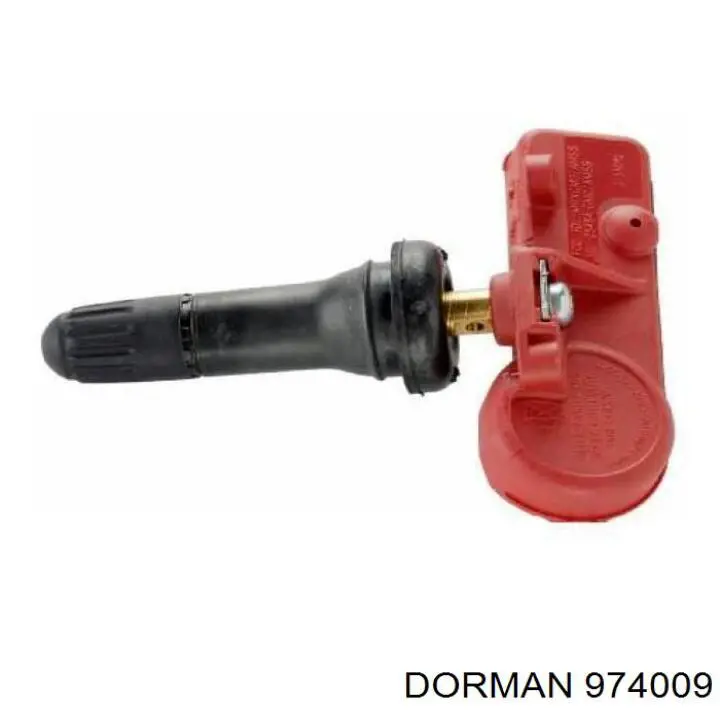  974009 Dorman