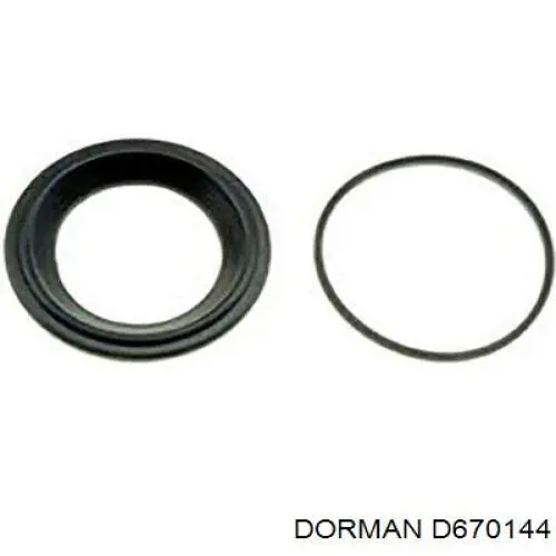 D670144 Dorman Ремкомплект заднего тормозного суппорта