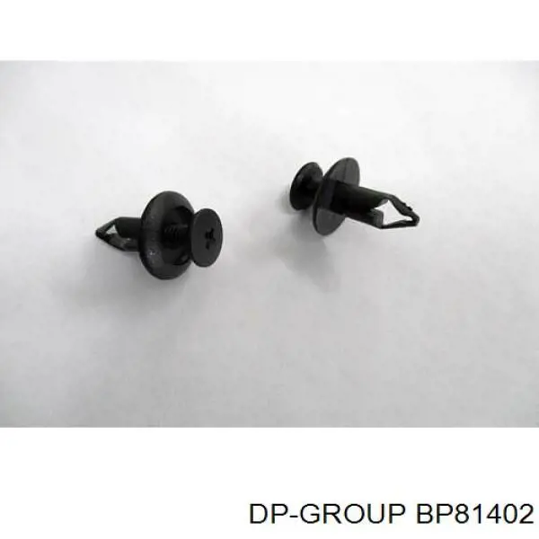 Купить BP81402 DP Group Заглушка гайки крепления поводка заднего дворника
