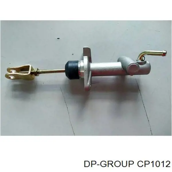 CP1012 DP Group