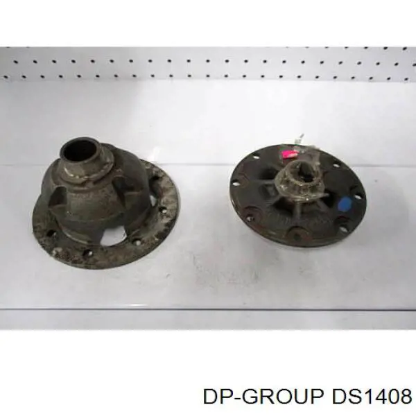 DS1408 DP Group
