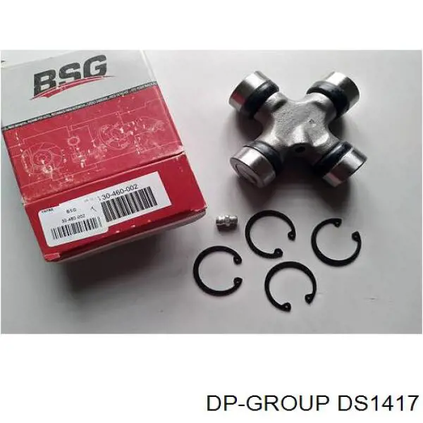 DS1417 DP Group 