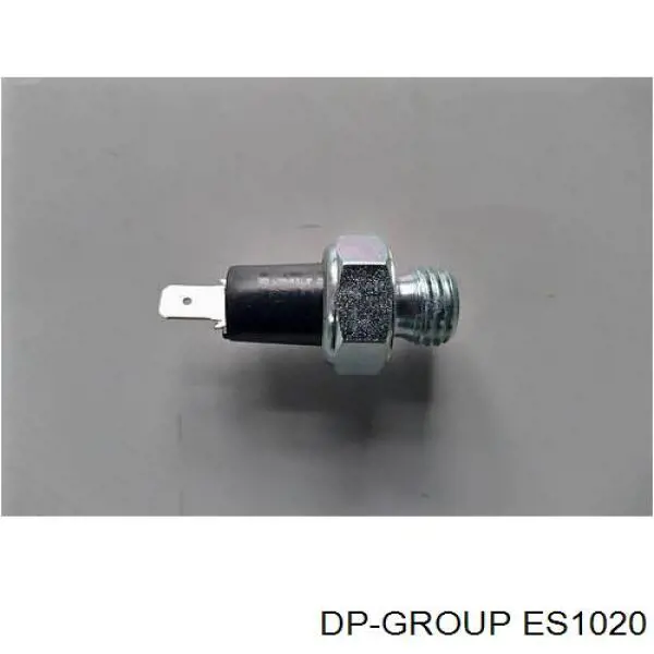 ES1020 DP Group