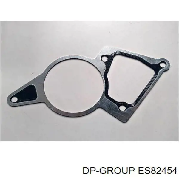 Прокладка вакуумного насоса DP Group ES82454 цена, от 1.46 USD