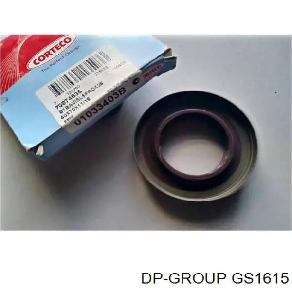 GS1615 DP Group