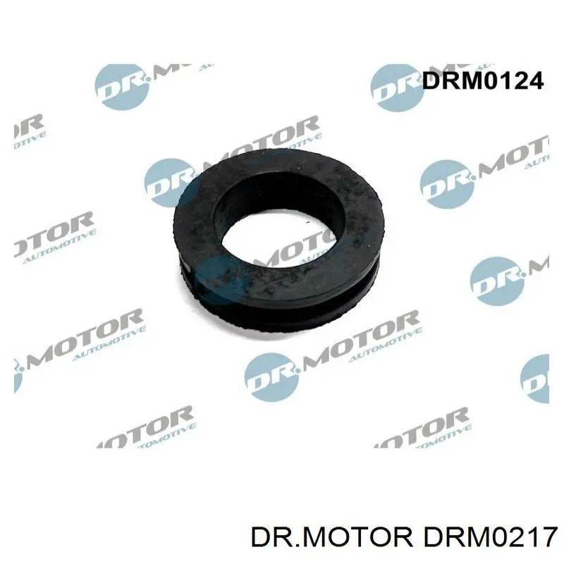 DRM0217 Dr.motor