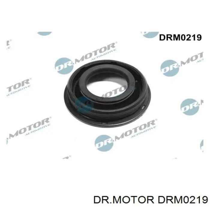 DRM0219 Dr.motor кольцо уплотнительное свечного колодца