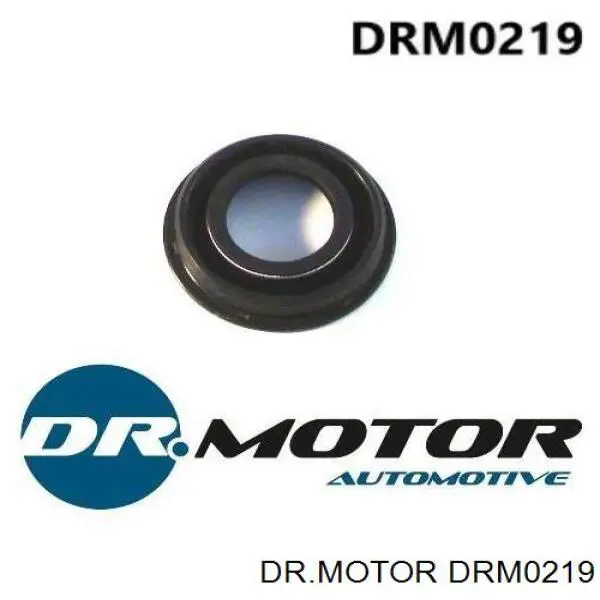 Кільце ущільнювальне свічкового колодязя DRM0219 Dr.motor