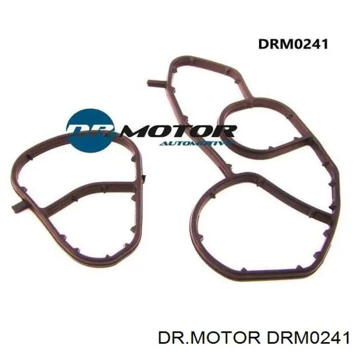 Комплект прокладок корпуса масляного фильтра DRM0241 Dr.motor