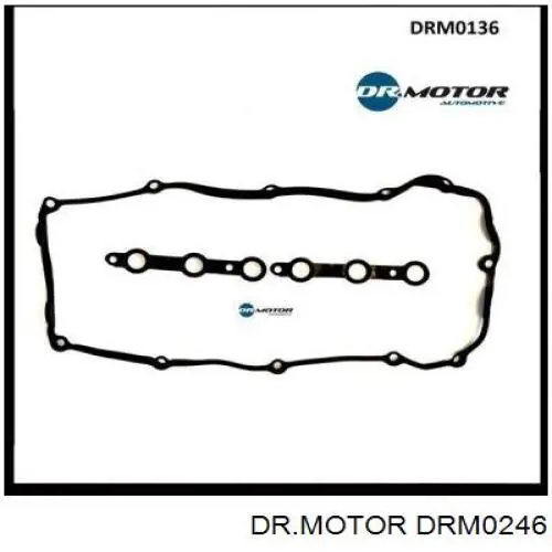 DRM0246 Dr.motor ремкомплект форсунки