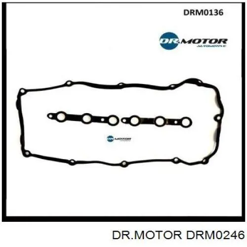 Ремкомплект форсунки DRM0246 Dr.motor