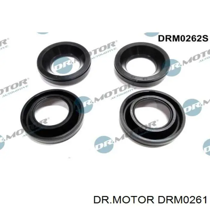 Ремкомплект форсунки DR.MOTOR DRM0261